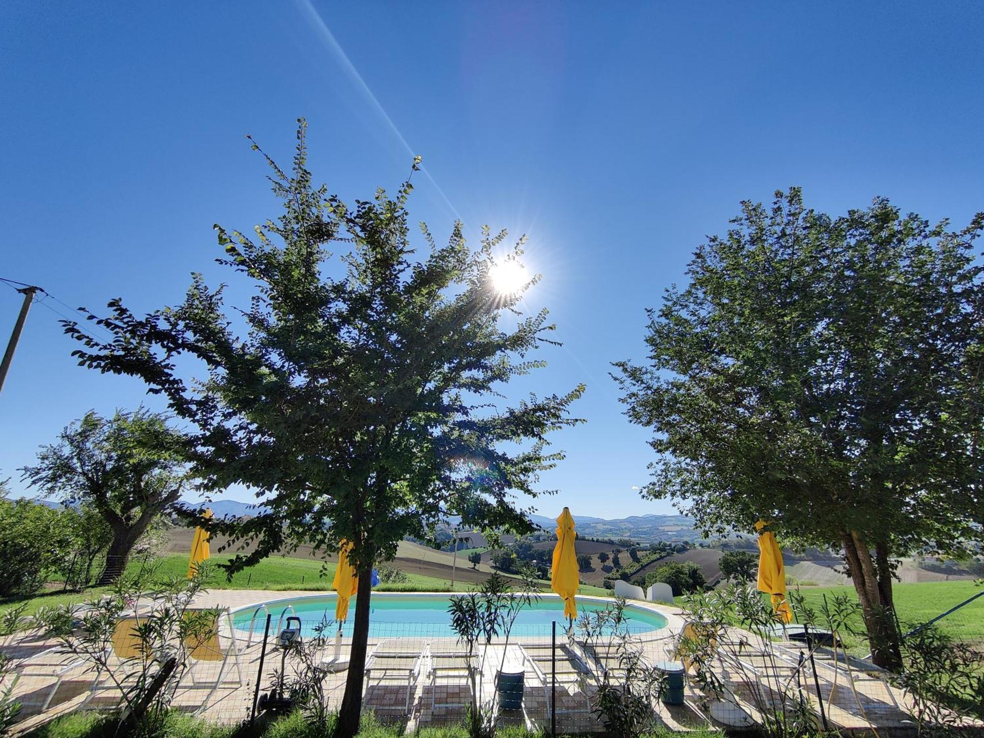 Rustico Del Bozzo Guest House Castelleone di Suasa Bagian luar foto