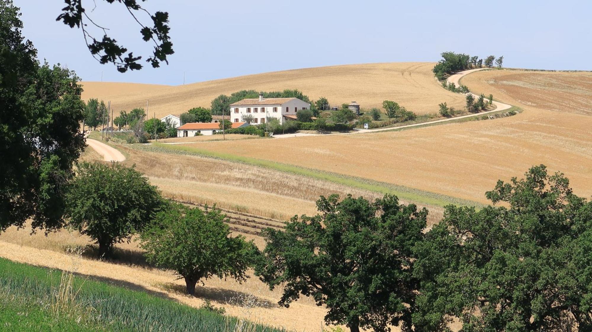 Rustico Del Bozzo Guest House Castelleone di Suasa Bagian luar foto