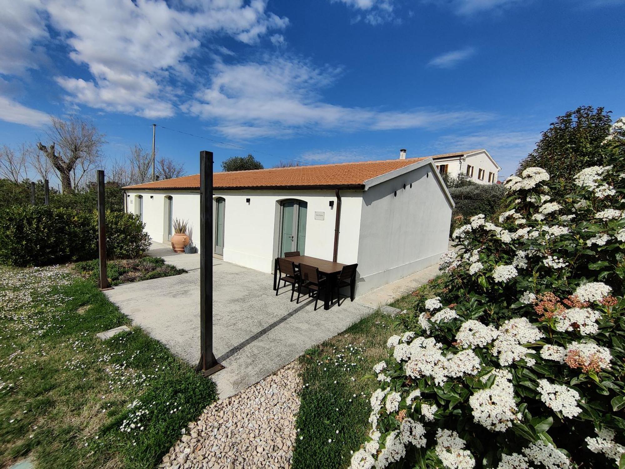 Rustico Del Bozzo Guest House Castelleone di Suasa Bagian luar foto