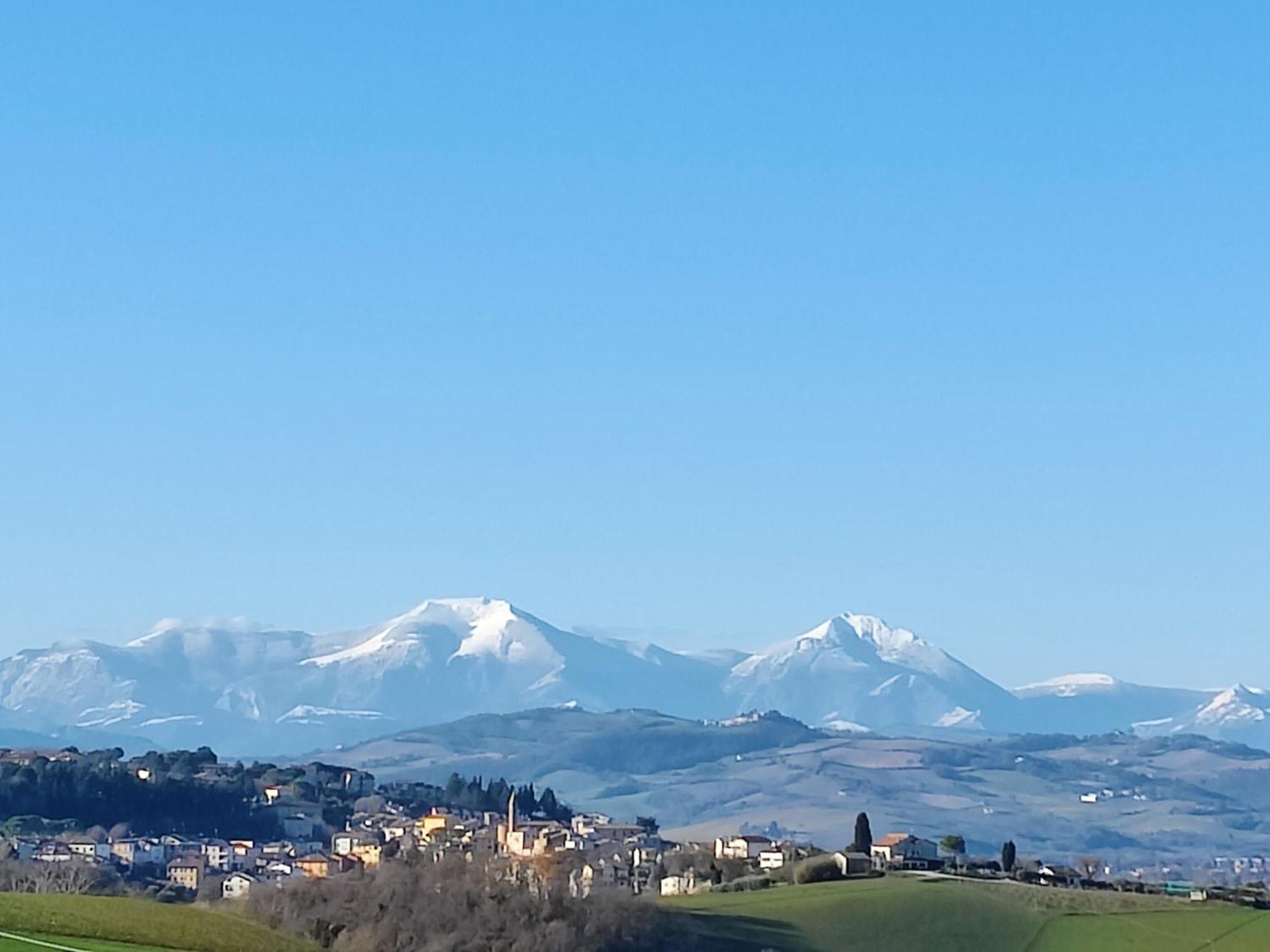 Rustico Del Bozzo Guest House Castelleone di Suasa Bagian luar foto